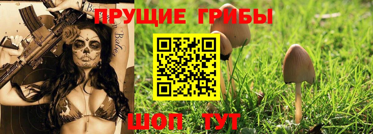 купить наркотики сайты  Вход с VPN  Партизанск  Галлюциногенные грибы ЛСД 