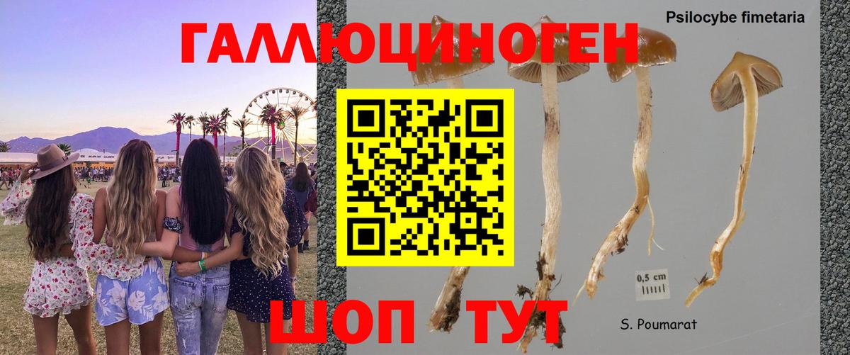 Псилоцибиновые грибы GOLDEN TEACHER Партизанск