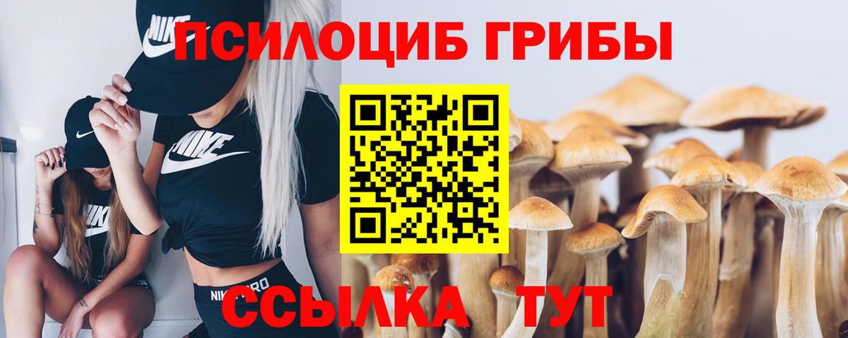 Где найти наркотики?  Гашиш  Партизанск  МЕФ кристаллы  Канабис  Cocaine  ГАШИШ  Вход с VPN 